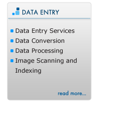 Freealnce Data Entry Services